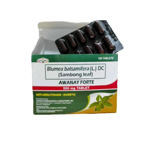 Sambong 500mg Tablet x 1