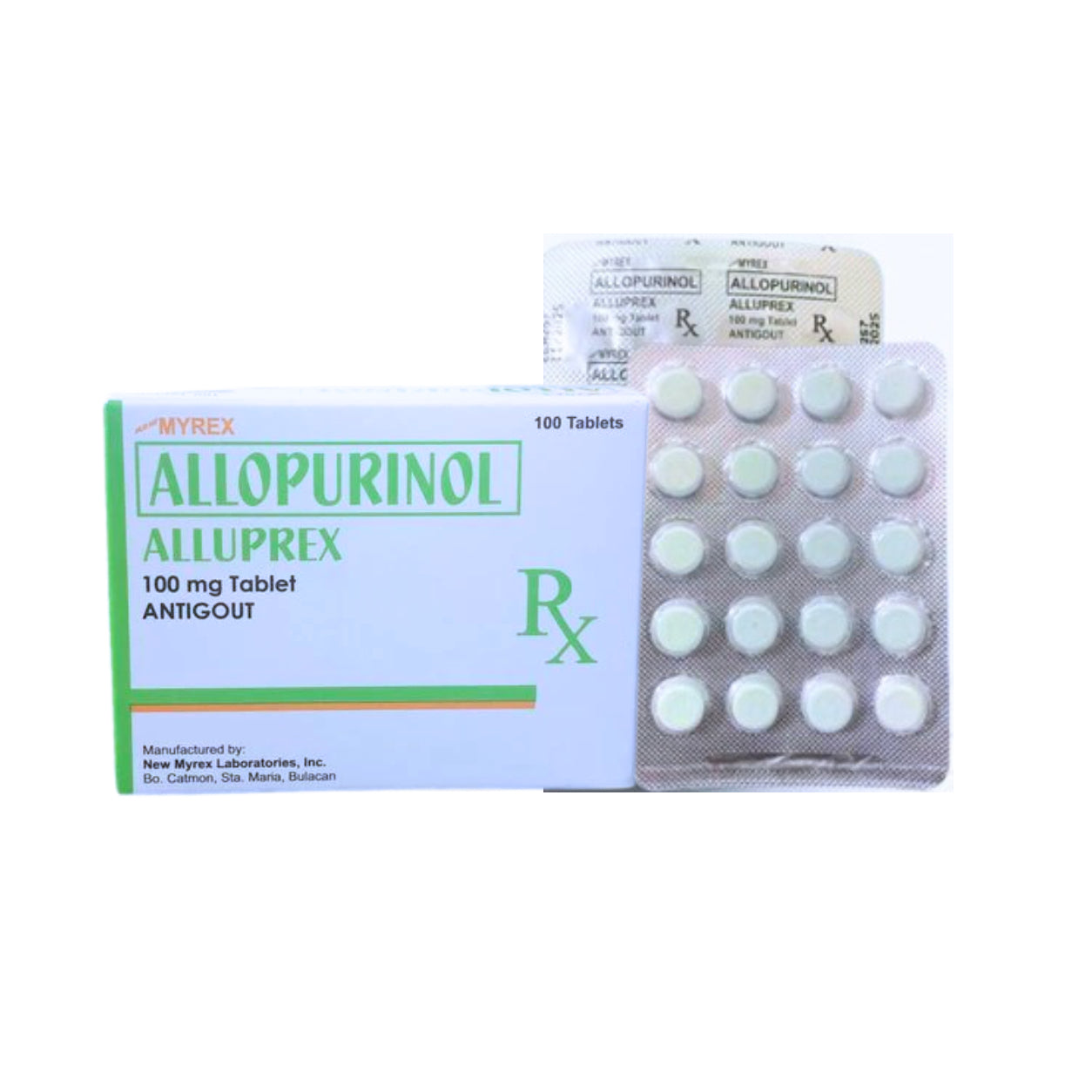 Allopurinol 100mg Tablet x 1